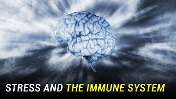 Stress Weakens Your Immune System