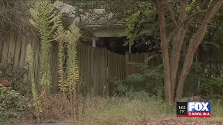 Woman charged after dead dogs found in Greenville Co.