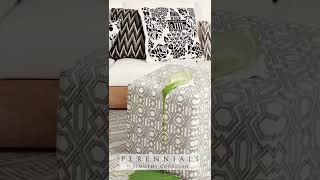 Timothy Corrigan | Perennials India Profile