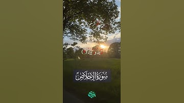سورة الإخلاص بصوت الشيخ عبد الباسط عبد الصمد #اكسبلور #المصحف #القرآن_الكريم