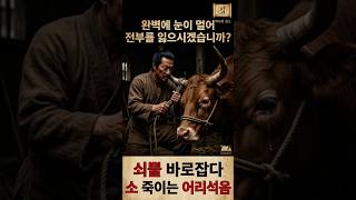 인생의 지혜