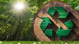 Forest Products: Sustainable Solutions for a Greener Future