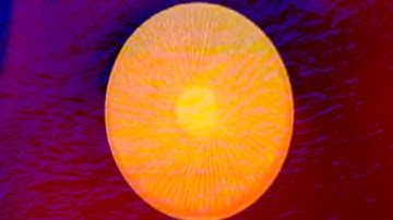 Kate Rissiek - Decayed Signals (Excerpt) - Official Video