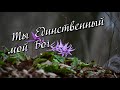 Ты Единственный мой Бог