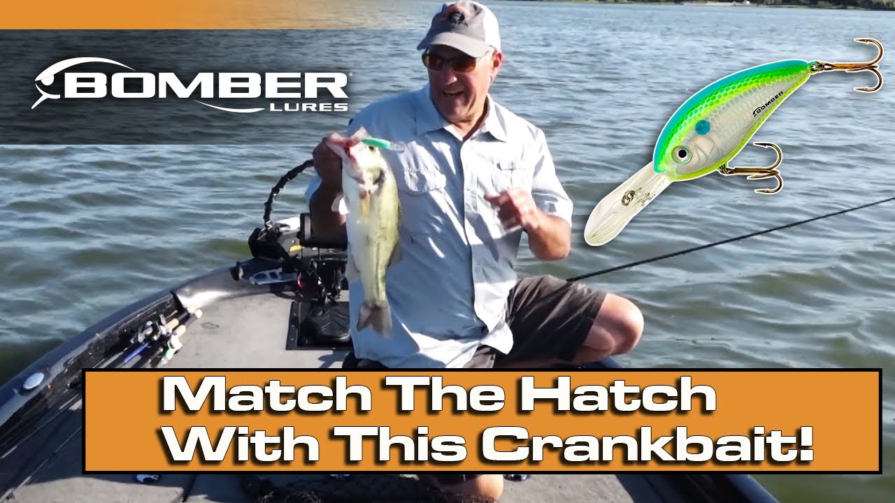 Throwing Crankbaits in Schools of Shad! (Summer Bass Fishing Tips) YouTube