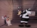Droopy fin limier  extrait  tex avery