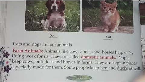 Class-3rd # E.V.S. # Chapter-6 (Animals in our Homes) # Part-1