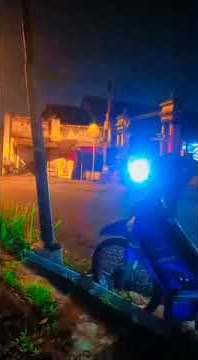 story wa terbaru || pok ame ame belalang kupu kupu remix