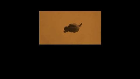 dave blunts #daveblunts #meme #memes #funny #undertale #fyp #shorts