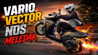 VARIO NOS PROJECT UPDATE