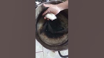 Cá Diếc Bụng Trứng to chà bá ăn Trứng Cá giàu Vitamin A tốt cho Mắt của bạn