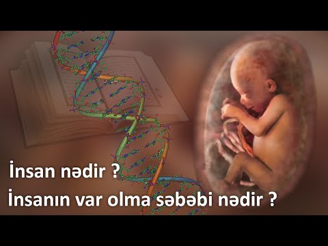 Video: Tam insan nədir?