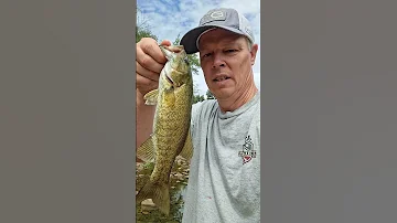 In God Fishing Caught A Neosho Smallmouth Bass In Middle Fork Little Red River By Rumley Arkansas 