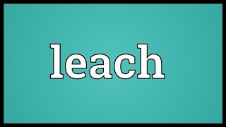 Video shows what leach means. a quantity of wood ashes, through which
water passes, and thus imbibes the alkali.. tub or vat for leaching
bark, etc....