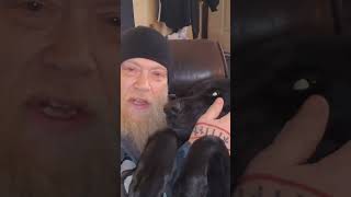 Ulu Is A Big Lap Dog