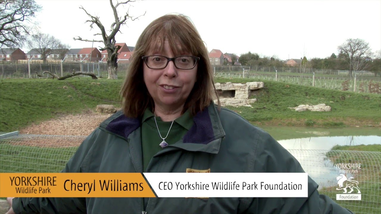 days out in. yorkshire Yorkshire Wildlife Park's 7th Birthday