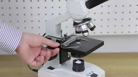 How to install the microscope Vabiooth Lab.🔬