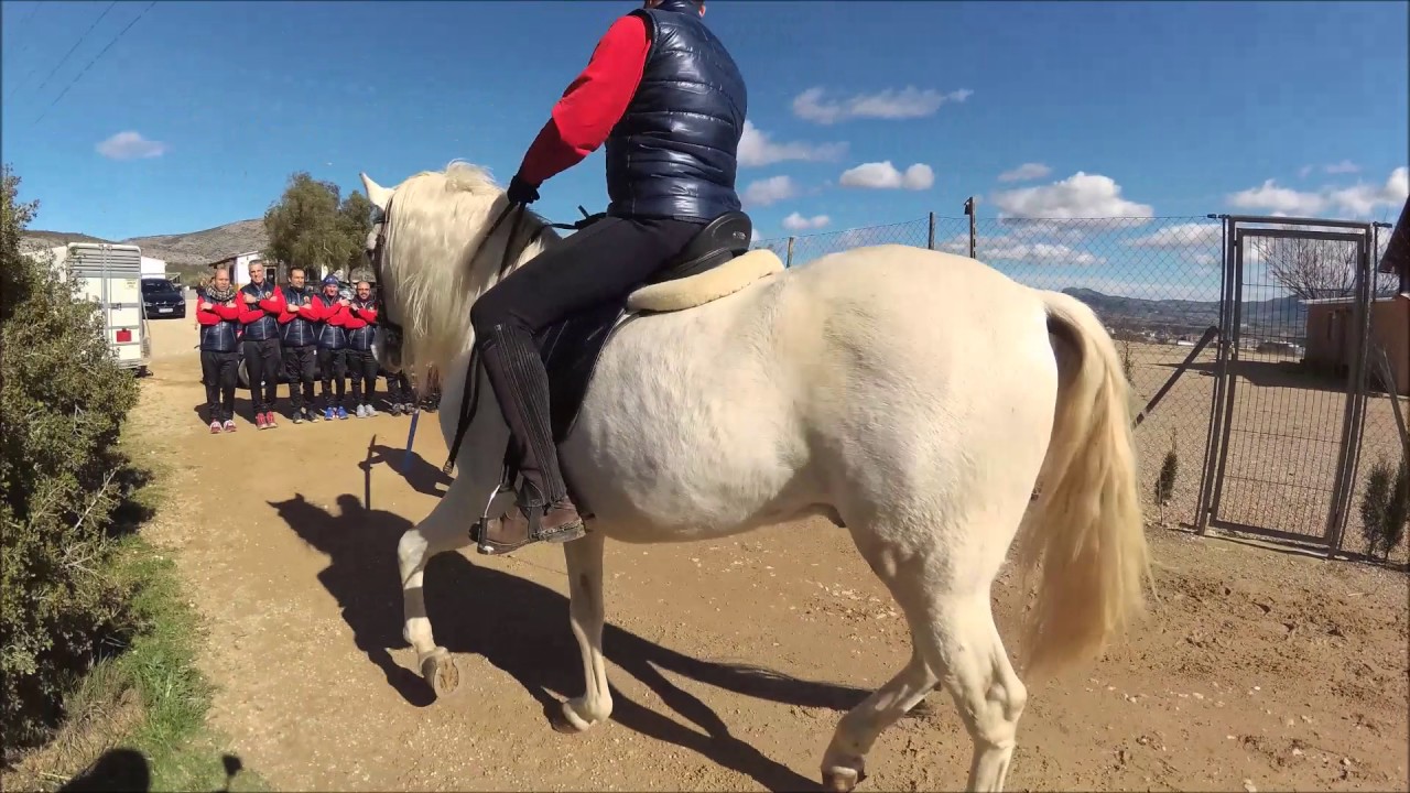 Ensayo escuadra del mig. filá contrabandistas de alcoy