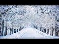 Beautiful Relaxing Music - Stop Overthinking,  Peaceful Soothing Instrumental Music, Calm Music