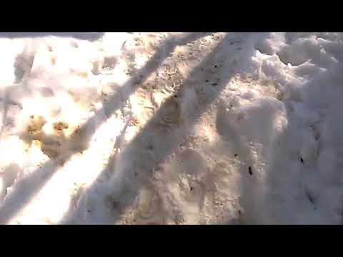 თოვლში ჩახტომა