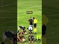 Dog interrupts football game 