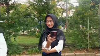 Download Lagu tentang bunga majemuk dan bunga tunggal. Kelas XI ph 2