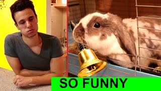 Owner regrets teaching his rabbit THIS new trick