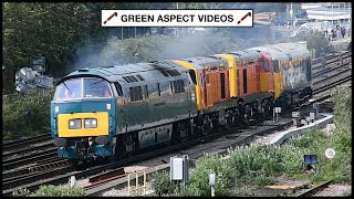 Purbeck Convoy - D1015, 20302, 20311 and 50021 head to the Swanage Railway - 08/05/24 by Green Aspect Videos 433 views 2 weeks ago 3 minutes, 25 seconds