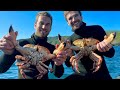 Biggest Brown Crabs we've ever Seen!!! Catch and Cook on the Beach!