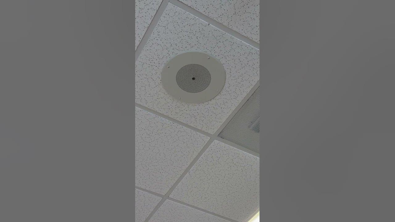 Atlas Sound SD72W Speaker DMX Speaker in ChickFilA YouTube