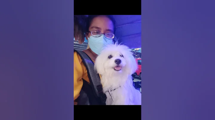 My Mona's Journey | from a baby to being a Doggo M...