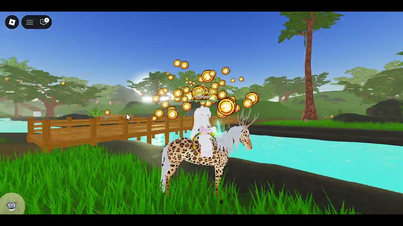 Getting a SIUC MARWARI WITH HORNS!!