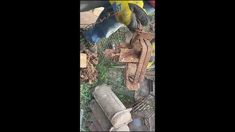 MONTGOMERY WARD 25 DOUBLE SPRING FOOT TRAPS For Sale