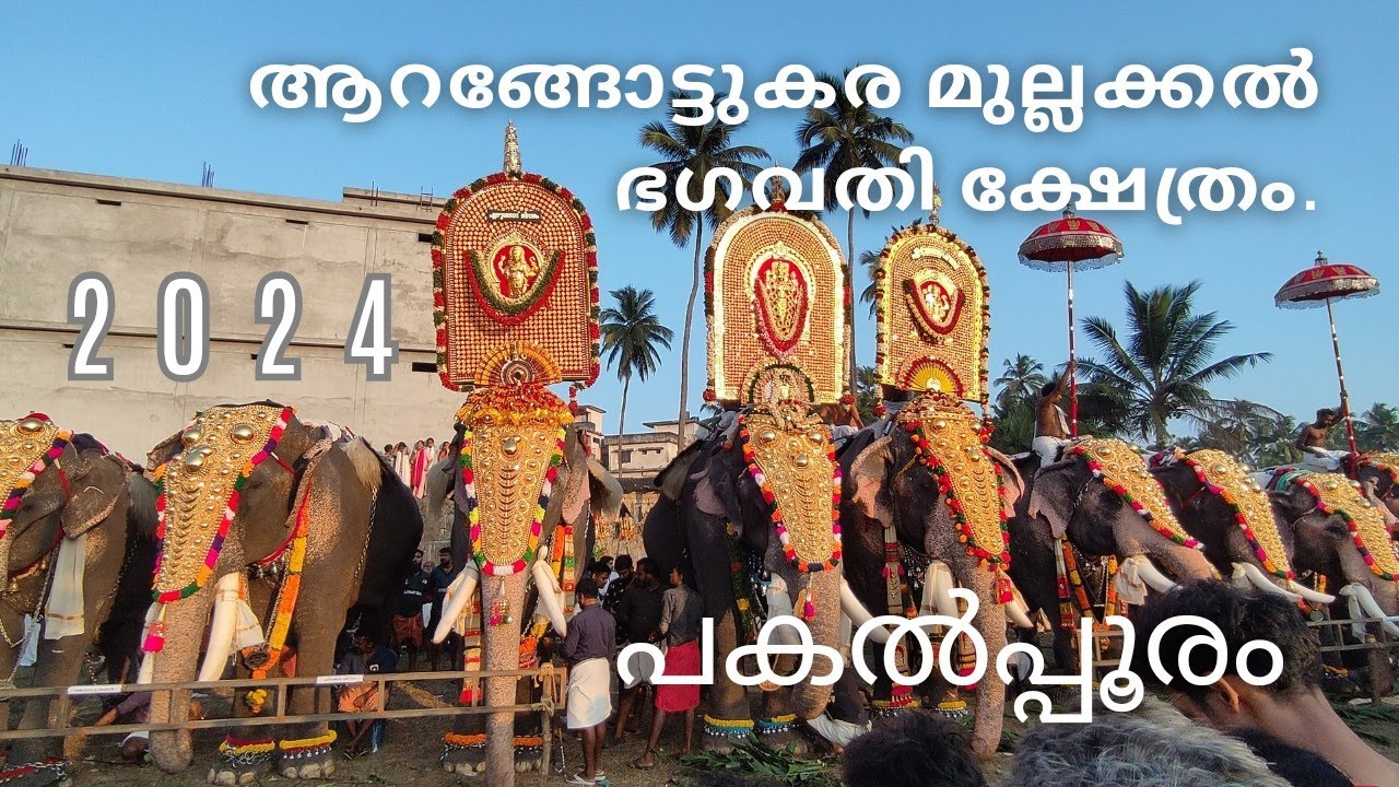 ആറങ്ങോട്ടുകര മുല്ലക്കൽ പകൽപൂരം l Arangottukara Mullakkal Pooram 2024 l #poora2024_25