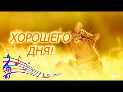 Доброе утро пятница. Желаю всем хорошего дня, отличного настроения!