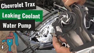 Chevrolet Trax: Water Pump