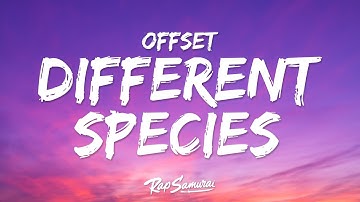 Offset, Gunna - Different Species (Lyrics)