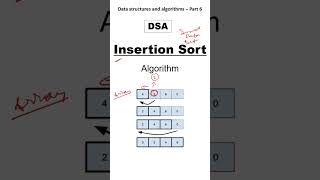 What is Insertion sort algorithm and it&#39;s work, DSA for BCA and beginner. #computerprogramming