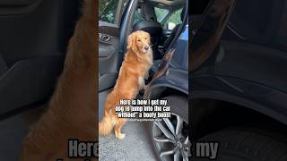 I have the best trick to get your dog into the car!  #goldenretriever #dog
