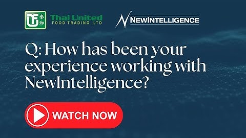 Interview Series: Experience Working With NewIntelligence  (Part 6)
