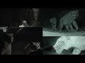 Prehistoric Planet Ice Age 2025 Cave Lion Screen Time 