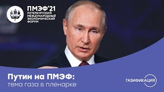 Владимир Путин о развитии газоснабжения: пленарная сессия ПМЭФ-2021