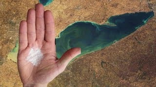 Plastic microbeads from exfoliating products pollute the Great Lakes screenshot 5