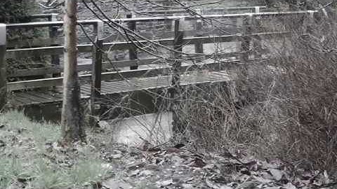 Infatuated - AS Media Studies Film Opening -