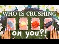 🔮WOAH💥WHO is crushing on YOU?! 📬😧💌💡(Pick A Card)✨Tarot Reading✨