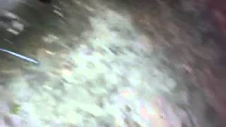 IPIS TEAMWORK (FAIL) screenshot 5