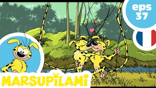 MARSUPILAMI - EP37 - SOS Palombie