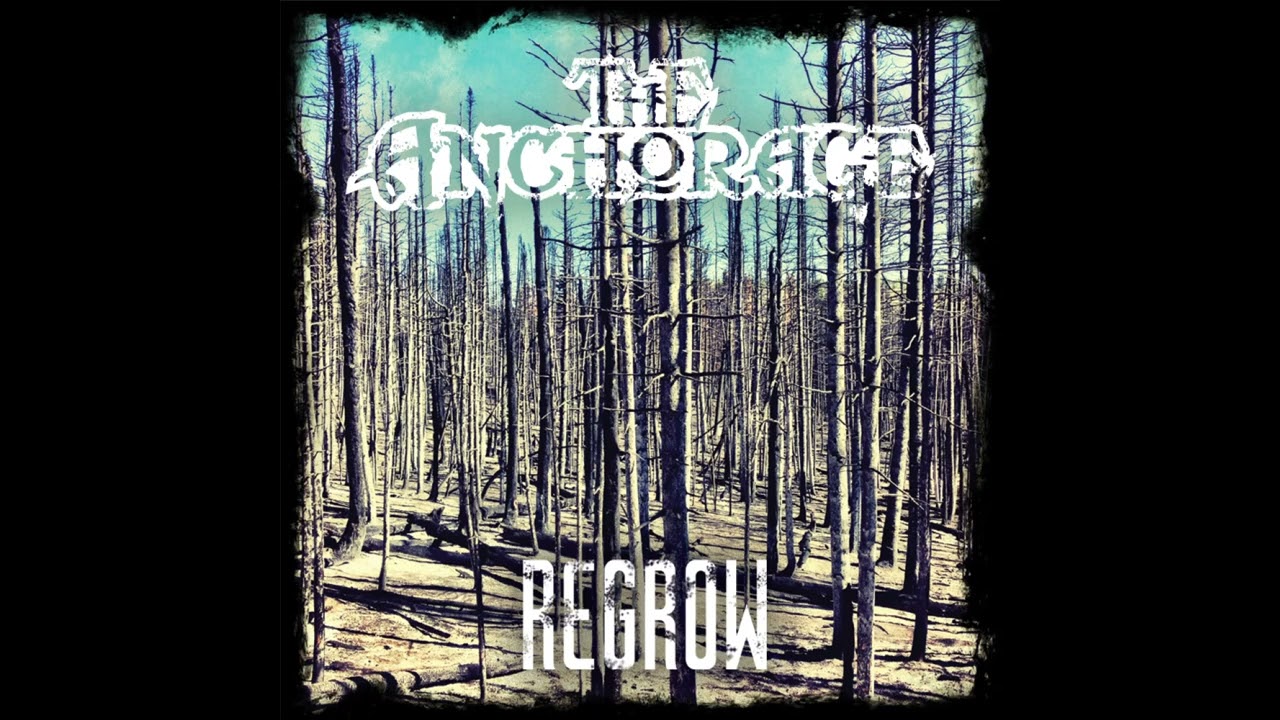 Watch The Anchorage | Regrow on YouTube Watch The Anchorage | Regrow on YouTube