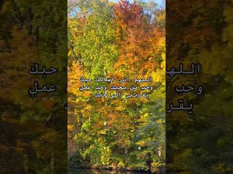 اللهم إني أسألك حبك وحب من يحبك وحب كل عمل يقربني إلى حبك بدر المشاري  اكسبلور لايك