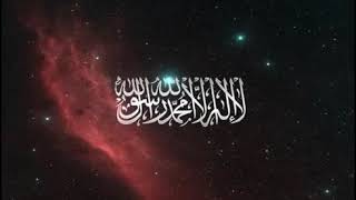 الشيخ /محمد حسين عامر / سوره الجمعه